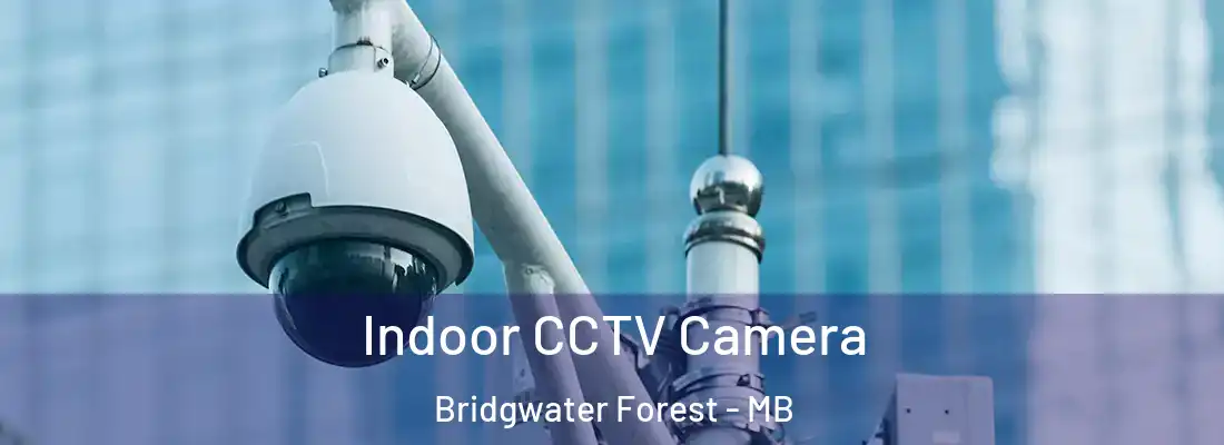  Indoor CCTV Camera Bridgwater Forest - MB