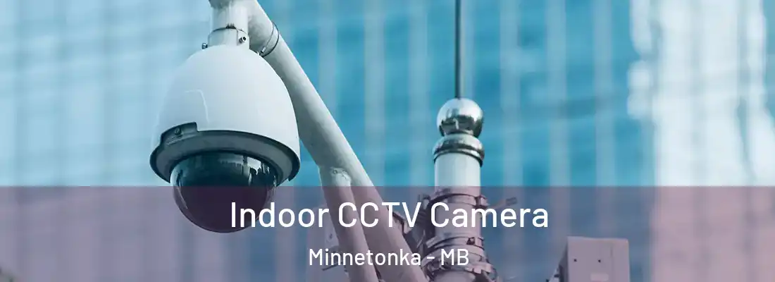  Indoor CCTV Camera Minnetonka - MB