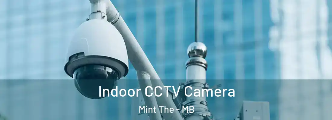  Indoor CCTV Camera Mint The - MB