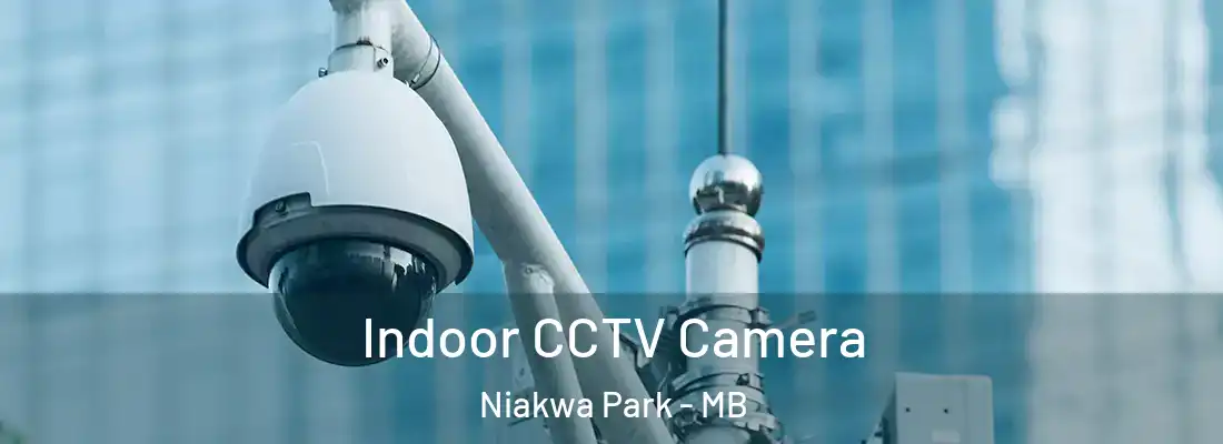  Indoor CCTV Camera Niakwa Park - MB