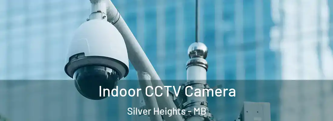 Indoor CCTV Camera Silver Heights - MB