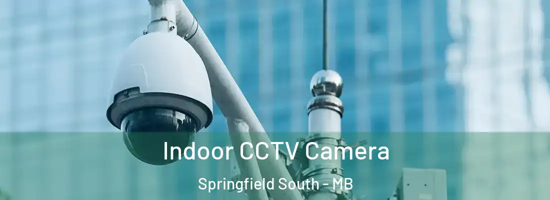  Indoor CCTV Camera Springfield South - MB