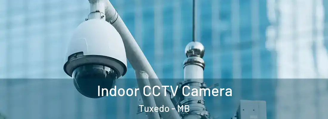  Indoor CCTV Camera Tuxedo - MB