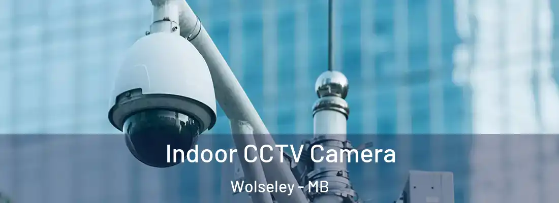  Indoor CCTV Camera Wolseley - MB