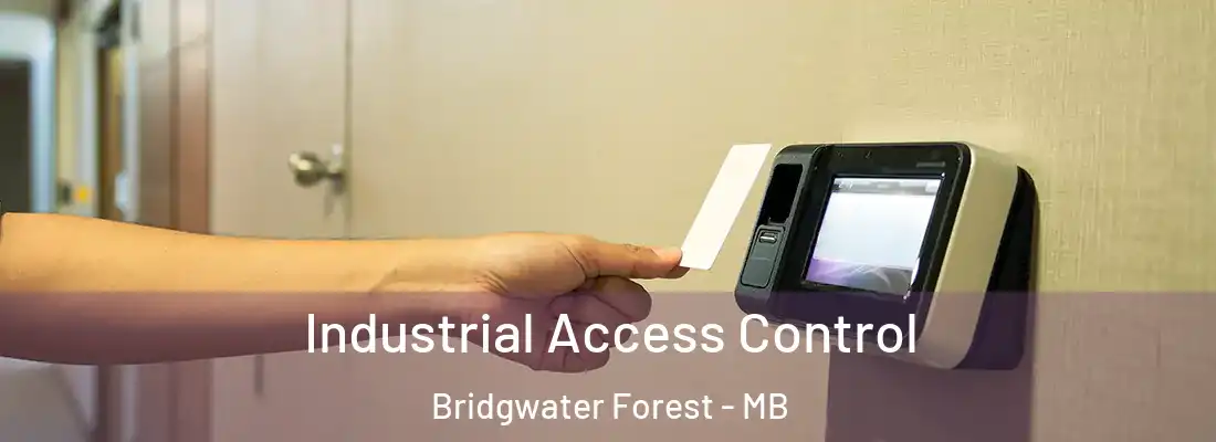  Industrial Access Control Bridgwater Forest - MB