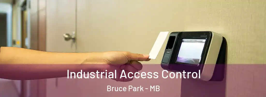 Industrial Access Control Bruce Park - MB