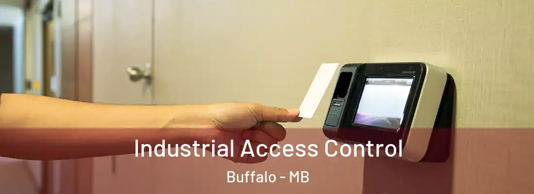  Industrial Access Control Buffalo - MB