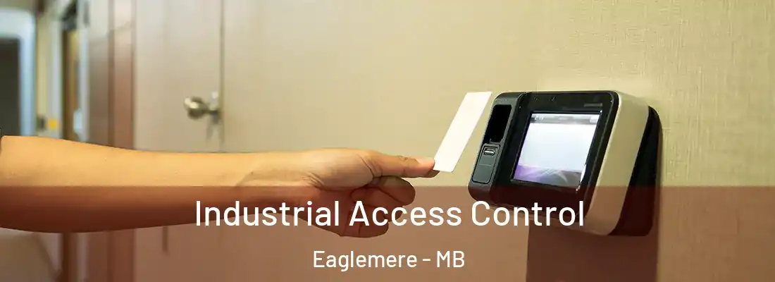  Industrial Access Control Eaglemere - MB