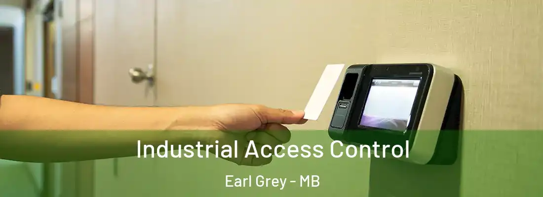  Industrial Access Control Earl Grey - MB