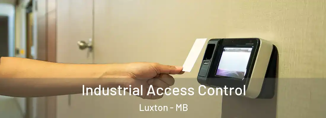  Industrial Access Control Luxton - MB