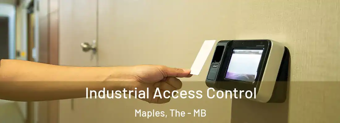  Industrial Access Control Maples, The - MB