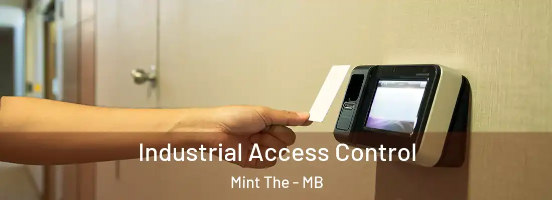  Industrial Access Control Mint The - MB