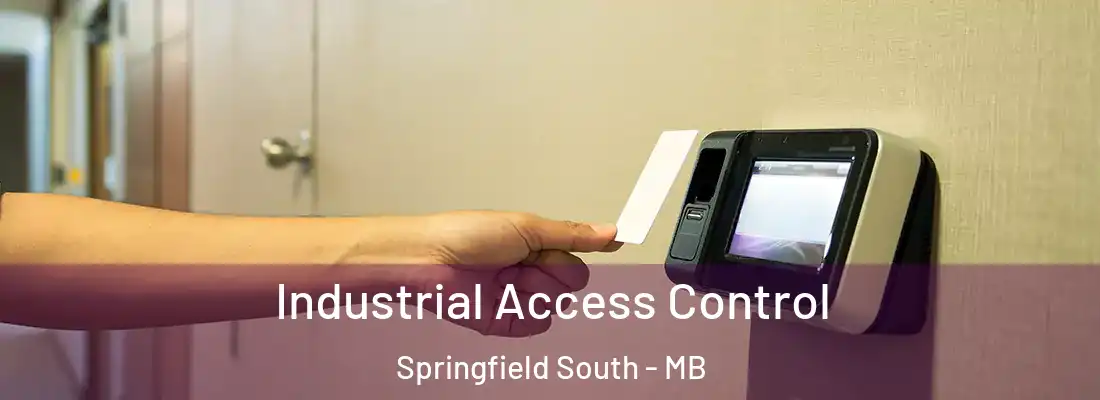  Industrial Access Control Springfield South - MB