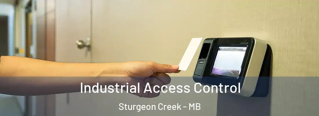  Industrial Access Control Sturgeon Creek - MB
