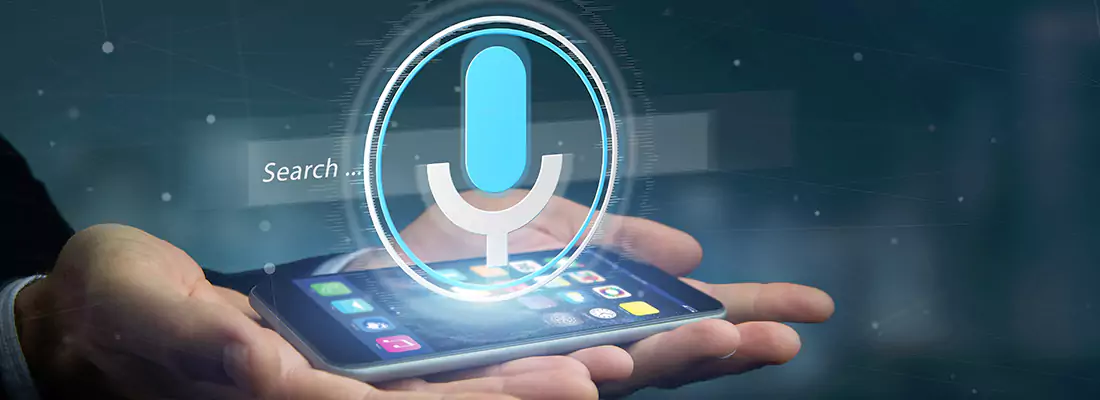 Enhance Security with Voice Recognition Access Systems in Point Road, MB