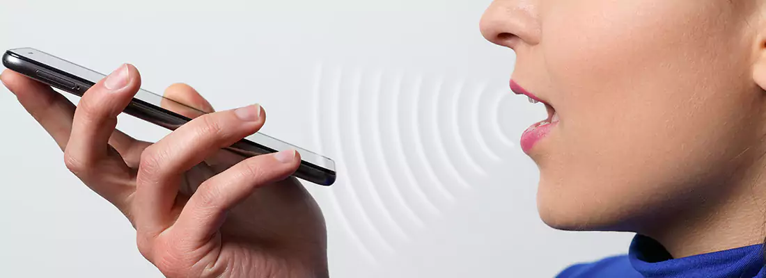 Residential and Commercial Voice Recognition Access Solutions in Point Road, MB