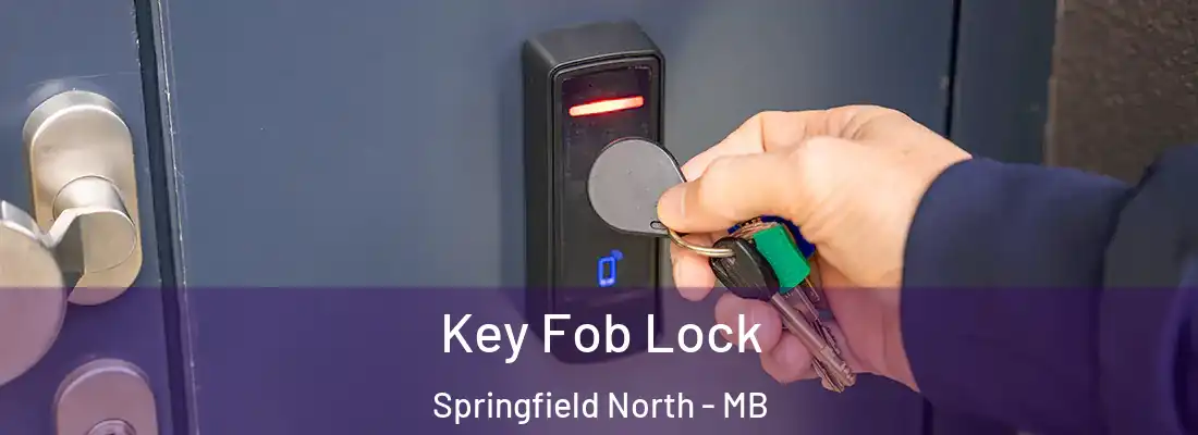  Key Fob Lock Springfield North - MB