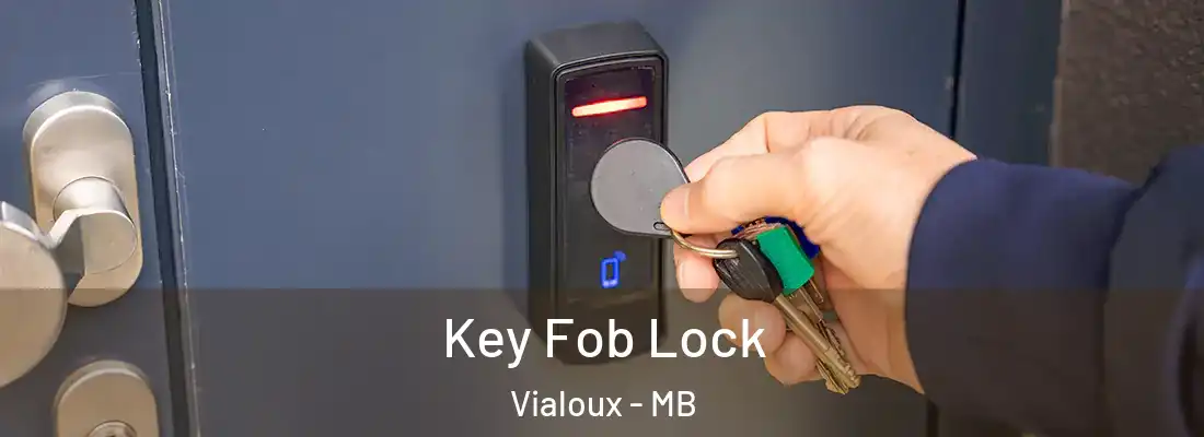  Key Fob Lock Vialoux - MB