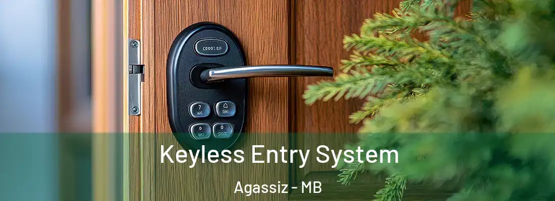  Keyless Entry System Agassiz - MB