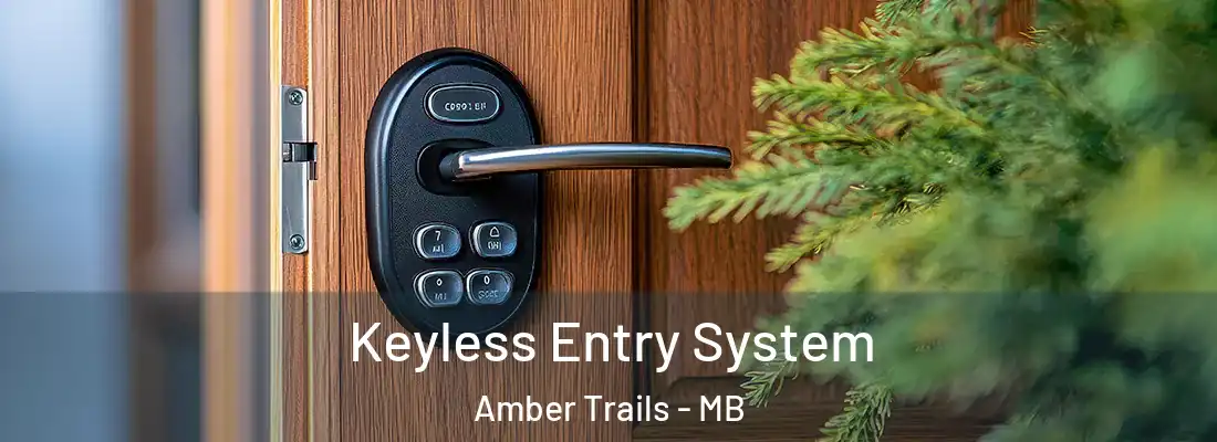  Keyless Entry System Amber Trails - MB