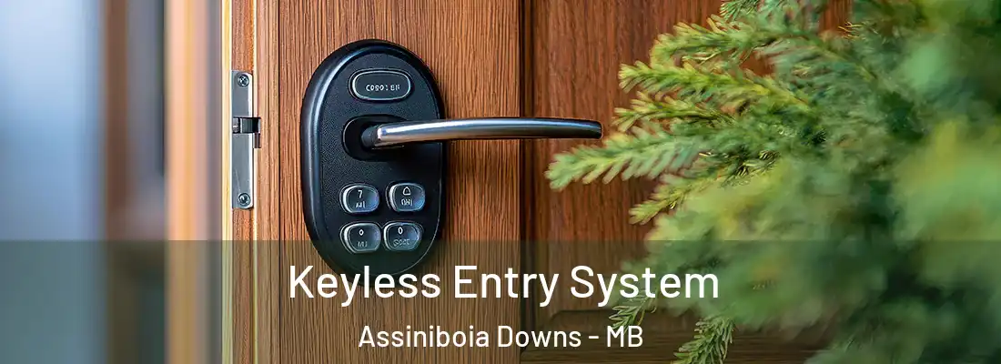  Keyless Entry System Assiniboia Downs - MB