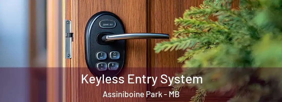  Keyless Entry System Assiniboine Park - MB