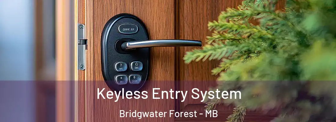  Keyless Entry System Bridgwater Forest - MB