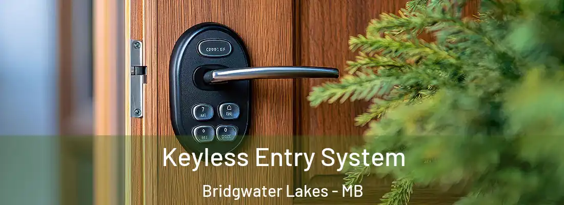  Keyless Entry System Bridgwater Lakes - MB