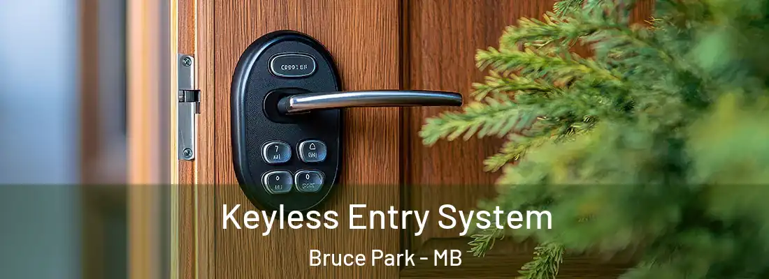  Keyless Entry System Bruce Park - MB