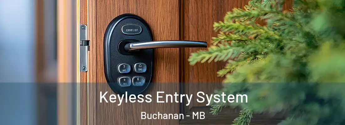  Keyless Entry System Buchanan - MB