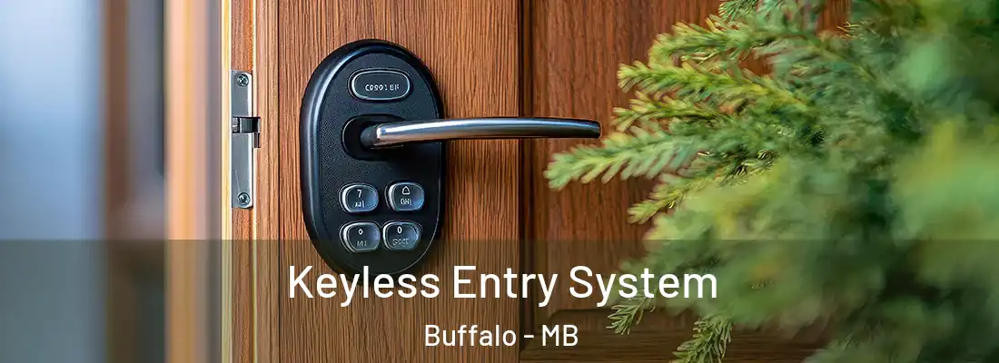  Keyless Entry System Buffalo - MB