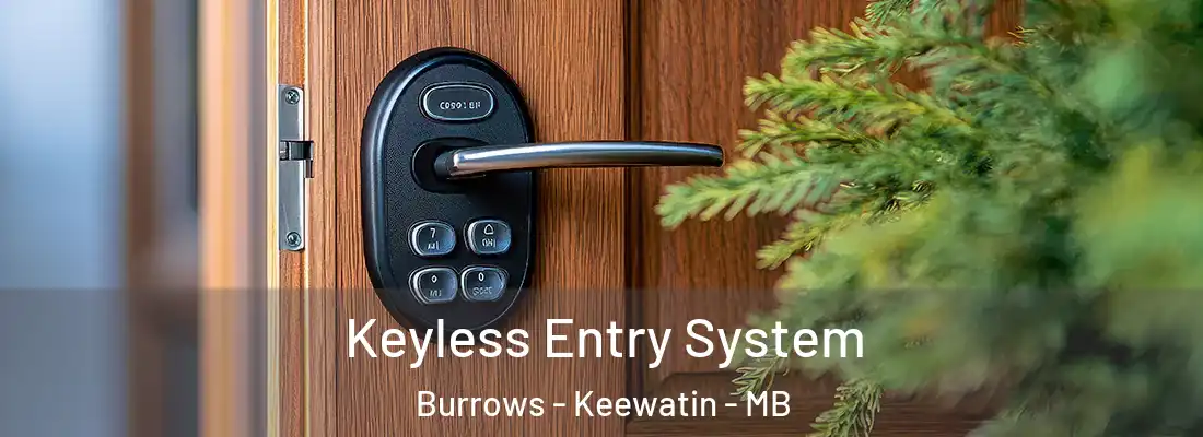  Keyless Entry System Burrows - Keewatin - MB