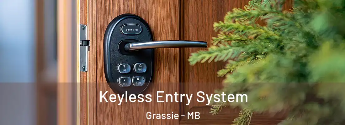  Keyless Entry System Grassie - MB