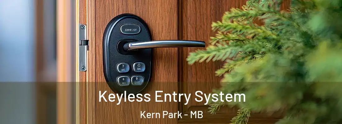  Keyless Entry System Kern Park - MB