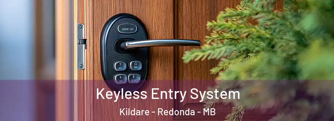 Keyless Entry System Kildare - Redonda - MB