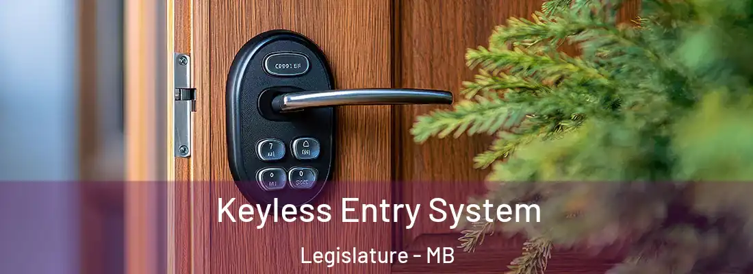  Keyless Entry System Legislature - MB