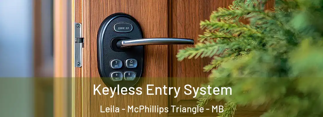  Keyless Entry System Leila - McPhillips Triangle - MB