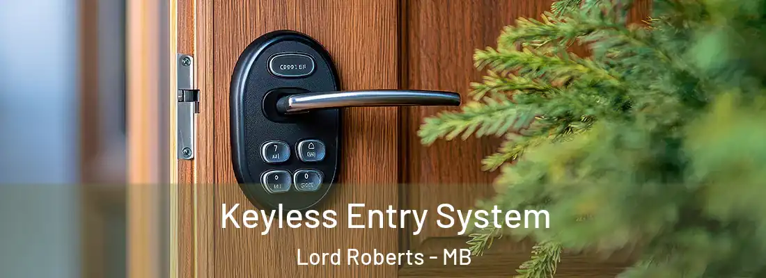  Keyless Entry System Lord Roberts - MB