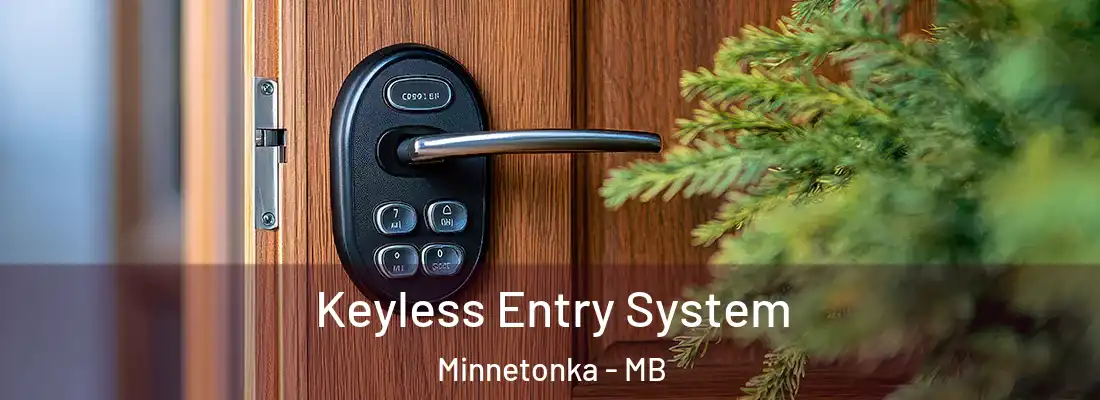 Keyless Entry System Minnetonka - MB