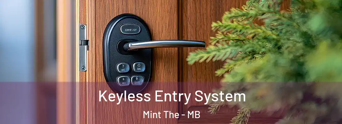 Keyless Entry System Mint The - MB