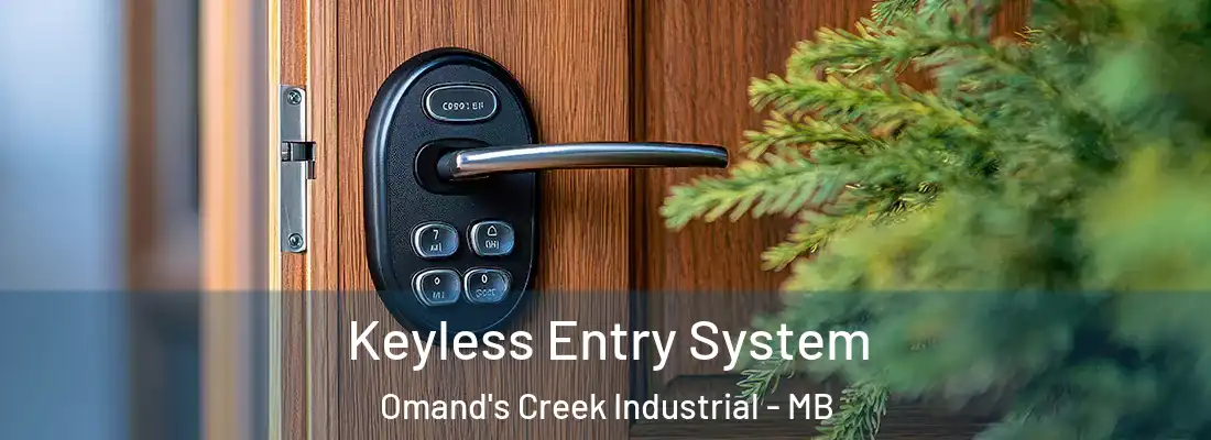  Keyless Entry System Omand's Creek Industrial - MB