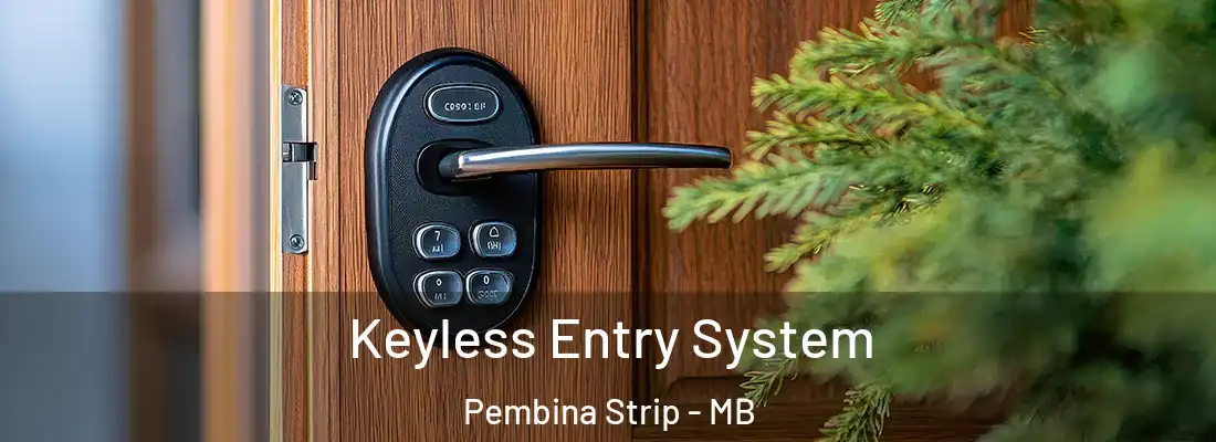  Keyless Entry System Pembina Strip - MB