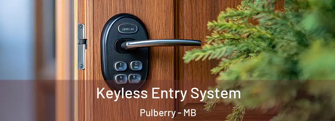  Keyless Entry System Pulberry - MB