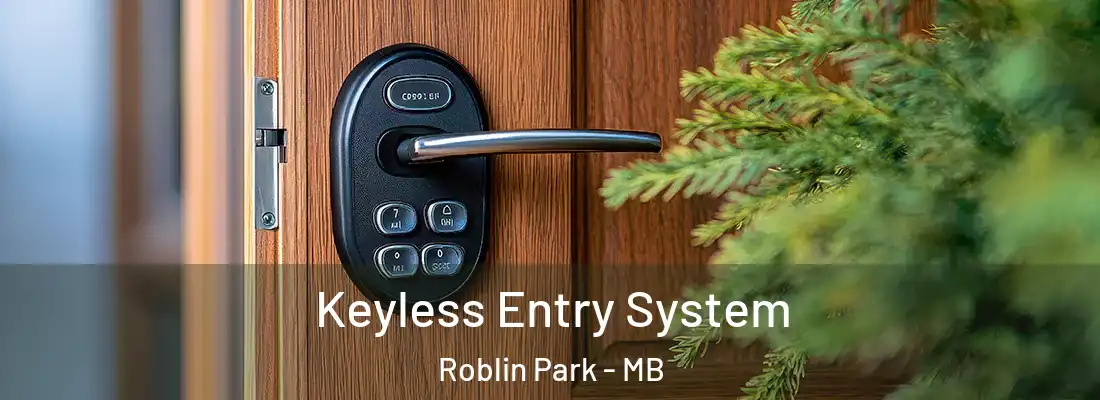  Keyless Entry System Roblin Park - MB