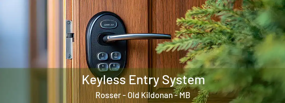  Keyless Entry System Rosser - Old Kildonan - MB