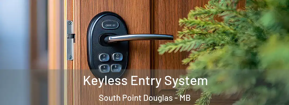  Keyless Entry System South Point Douglas - MB