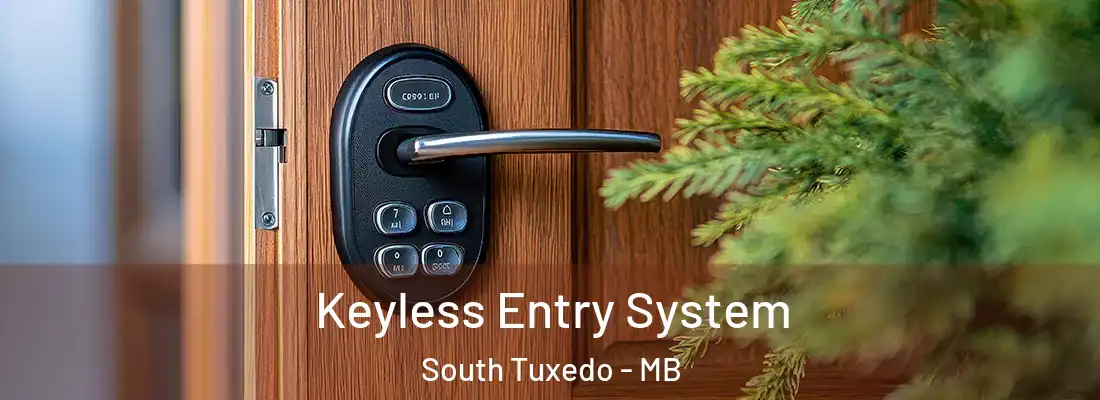 Keyless Entry System South Tuxedo - MB