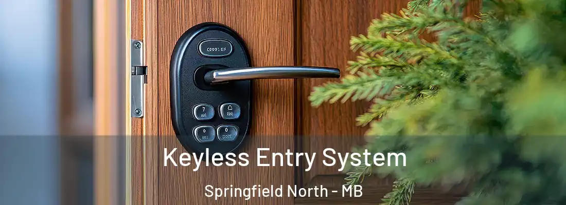  Keyless Entry System Springfield North - MB