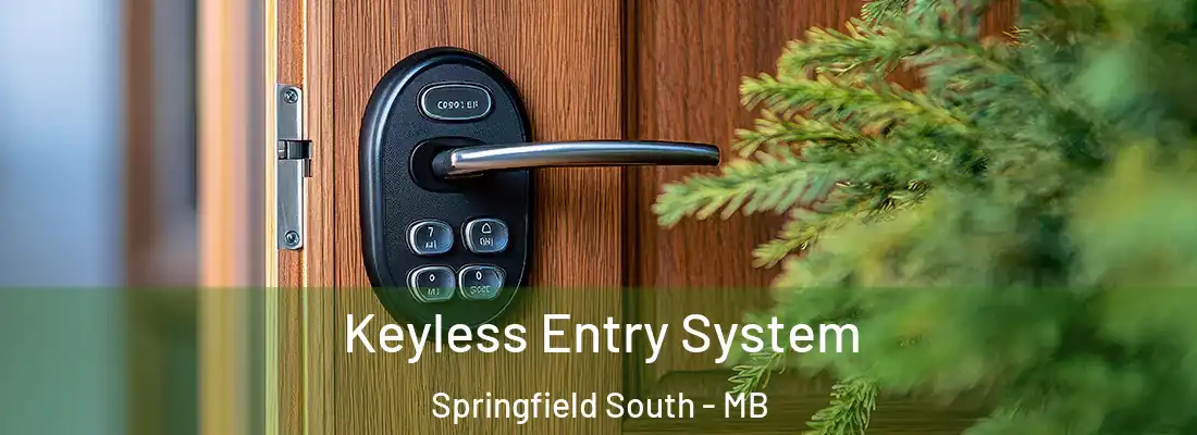  Keyless Entry System Springfield South - MB