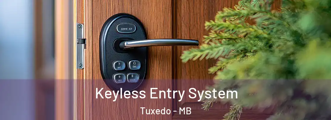  Keyless Entry System Tuxedo - MB